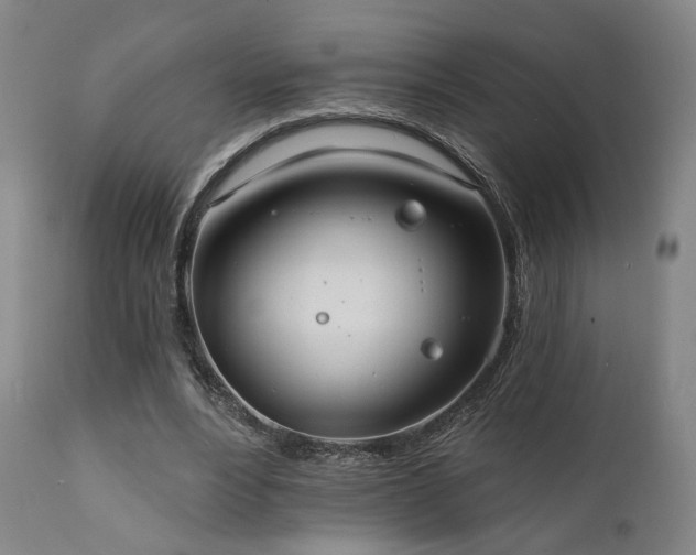 X0000111800488200907231213