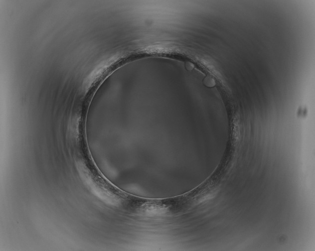 X0000111800491200907231213
