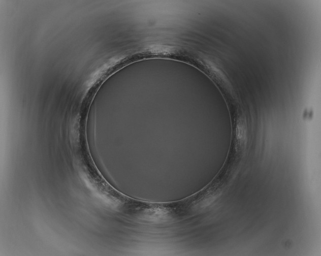 X0000111800492200907231213