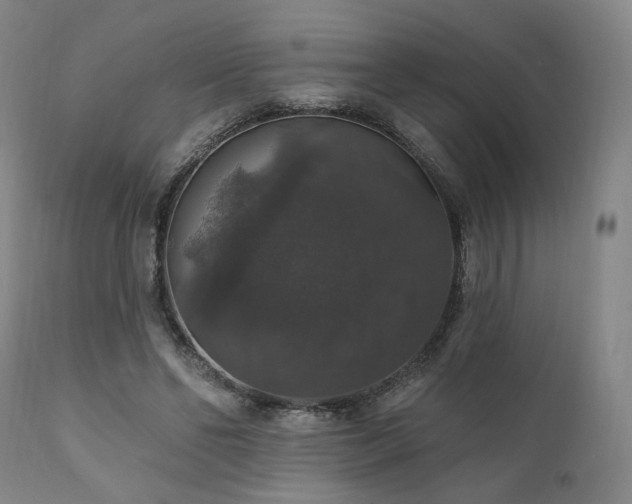 X0000111800494200907231213