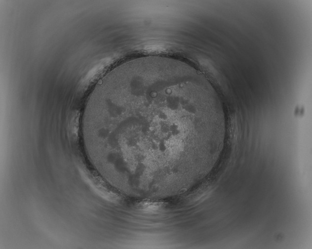 X0000111800495200907231213
