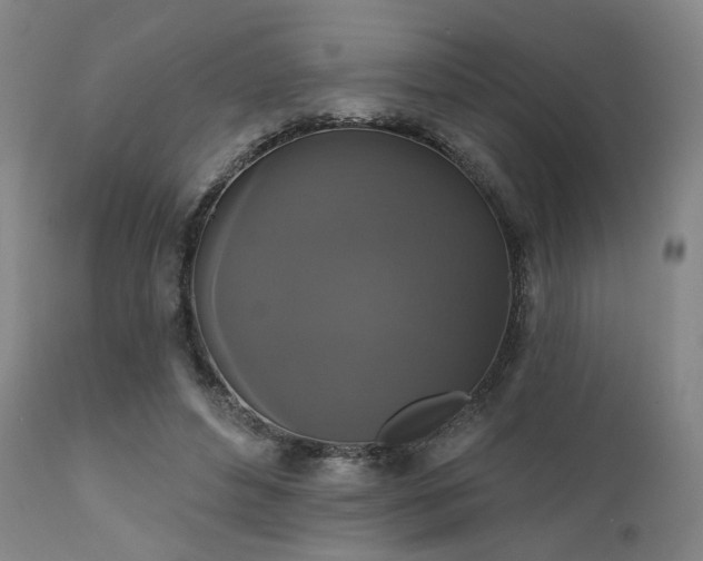 X0000111800496200907231213
