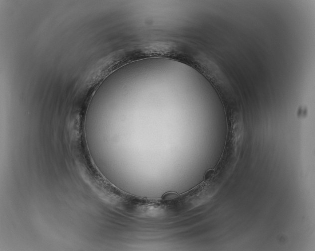 X0000111800498200907231213