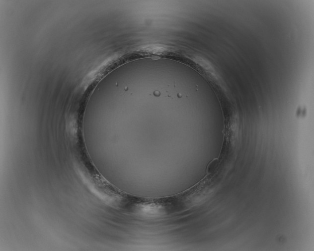 X0000111800500200907231213
