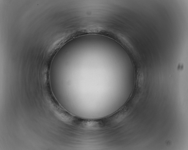 X0000111800501200907231213