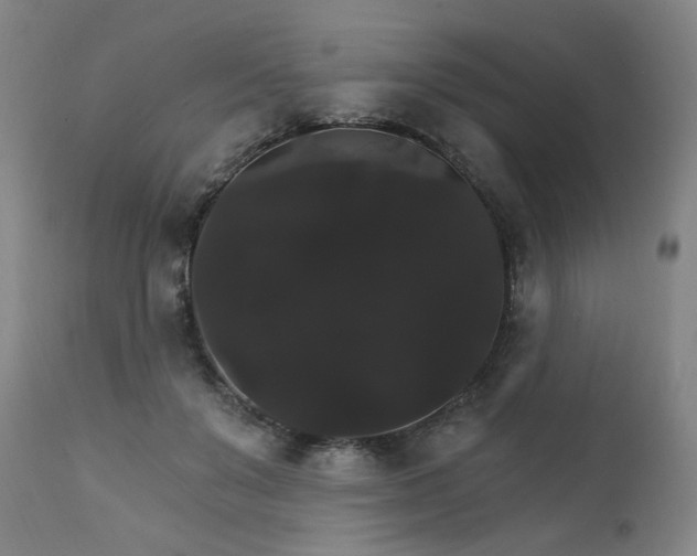 X0000111800503200907231213