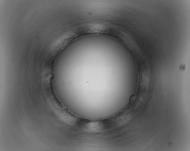 X0000111800505200907231213