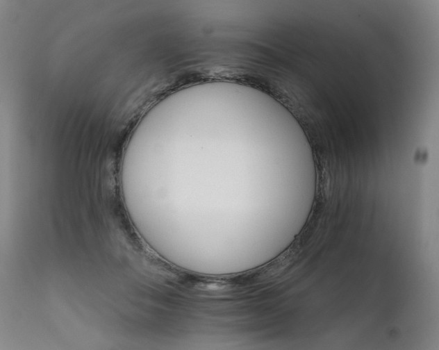 X0000111800506200907231213