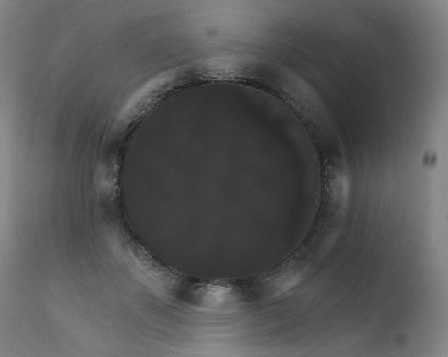 X0000111800507200907231213