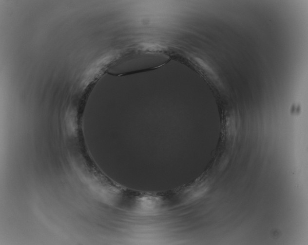 X0000111800508200907231213