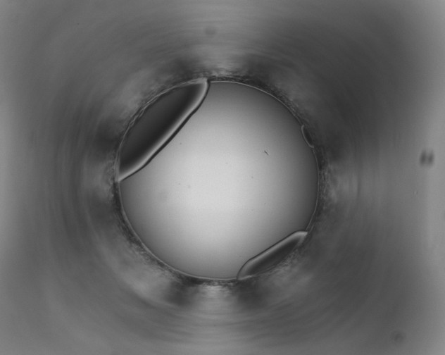X0000111800509200907231213