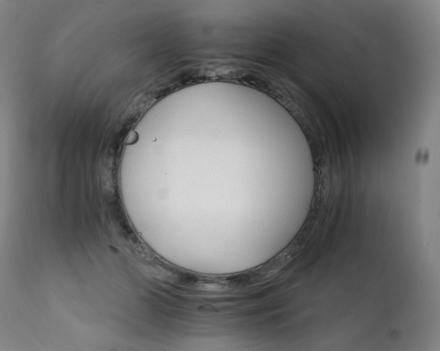 X0000111800510200907231213