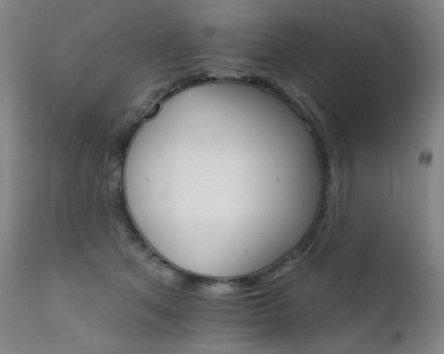 X0000111800513200907231213