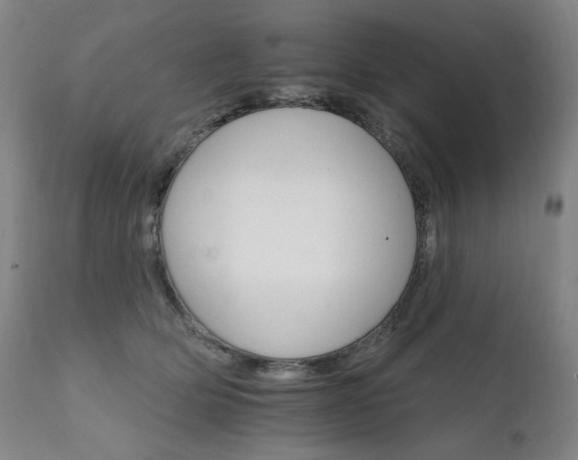 X0000111800514200907231213