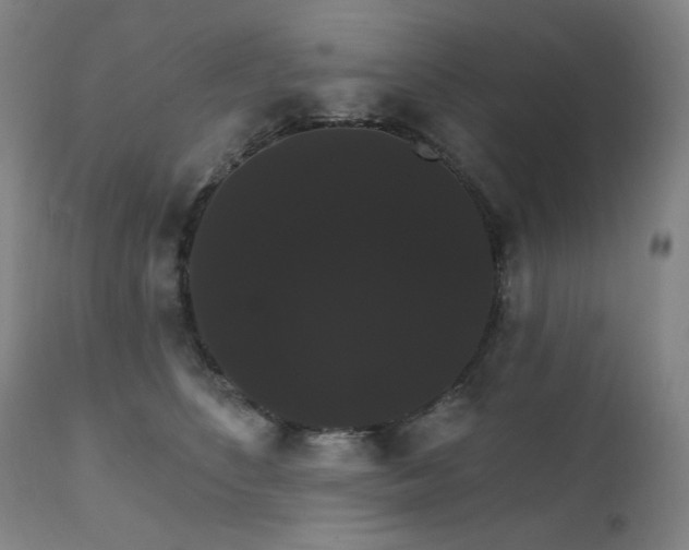 X0000111800516200907231213
