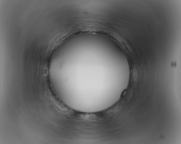 X0000111800517200907231213