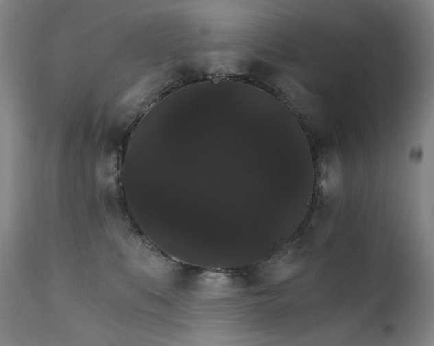 X0000111800519200907231213