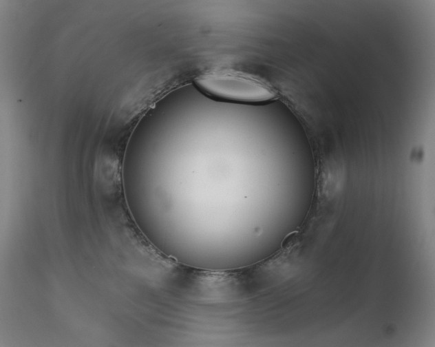 X0000111800521200907231213