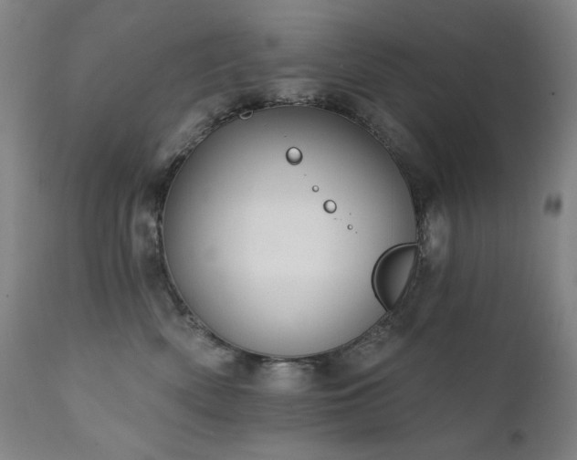 X0000111800522200907231213