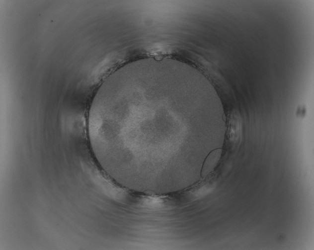 X0000111800523200907231213