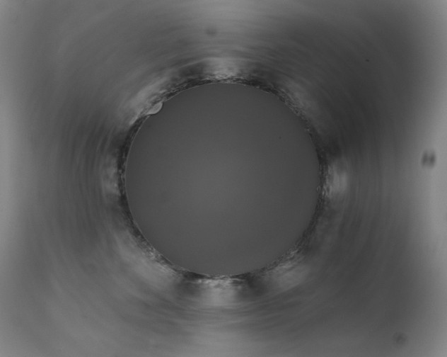X0000111800524200907231213