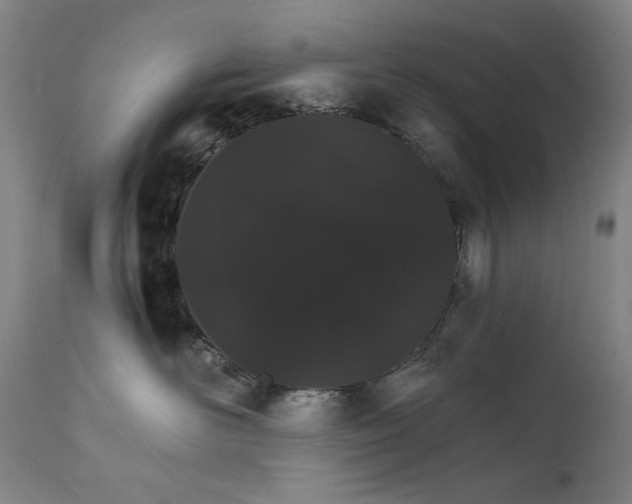 X0000111800526200907231213