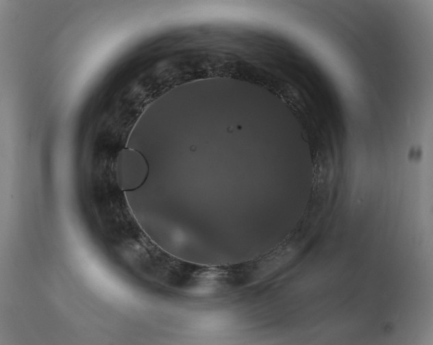 X0000111800527200907231213