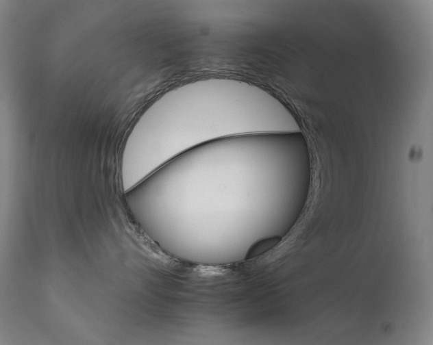 X0000111800528200907231213