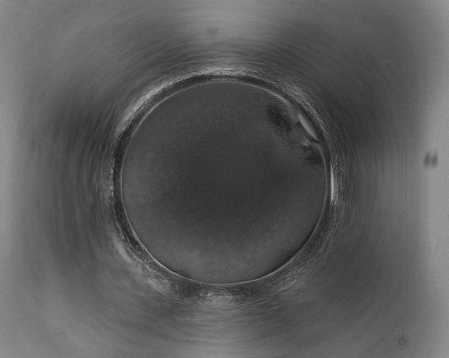 X0000111800531200907231212