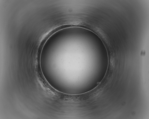X0000111800532200907231212