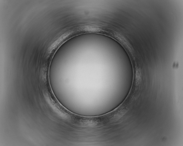 X0000111800533200907231212