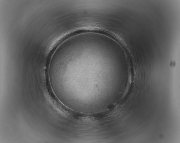 X0000111800535200907231212