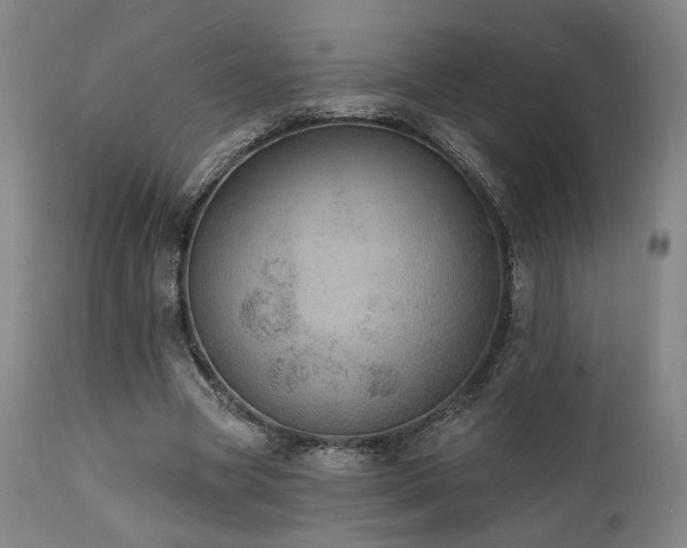 X0000111800537200907231212
