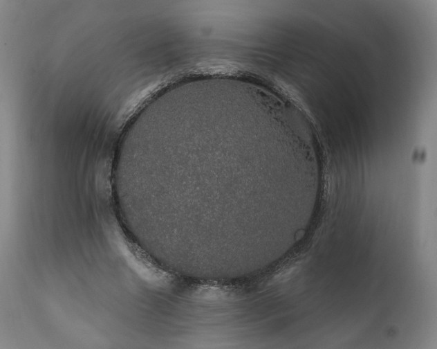 X0000111800538200907231212