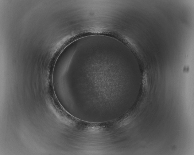 X0000111800540200907231212