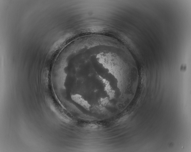 X0000111800542200907231212