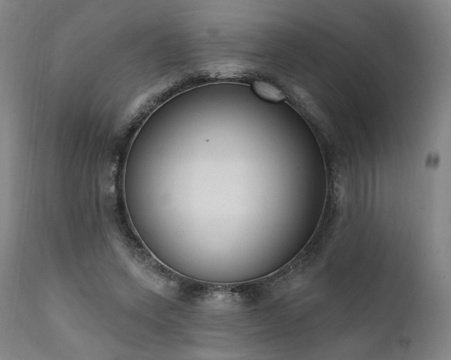 X0000111800543200907231212
