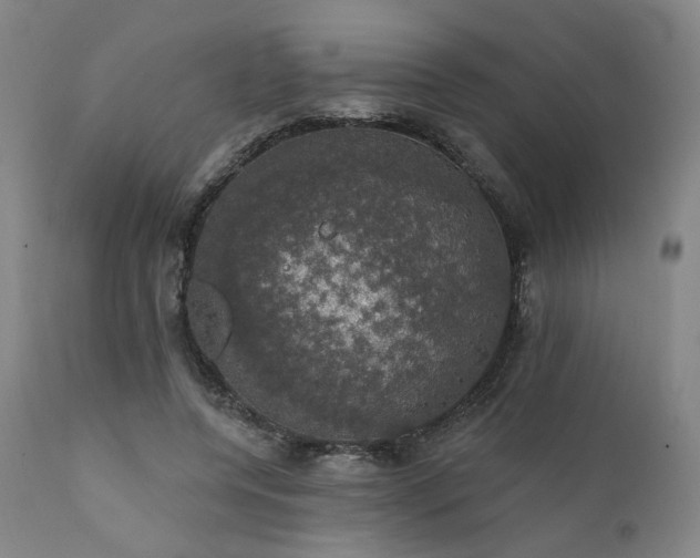 X0000111800544200907231212