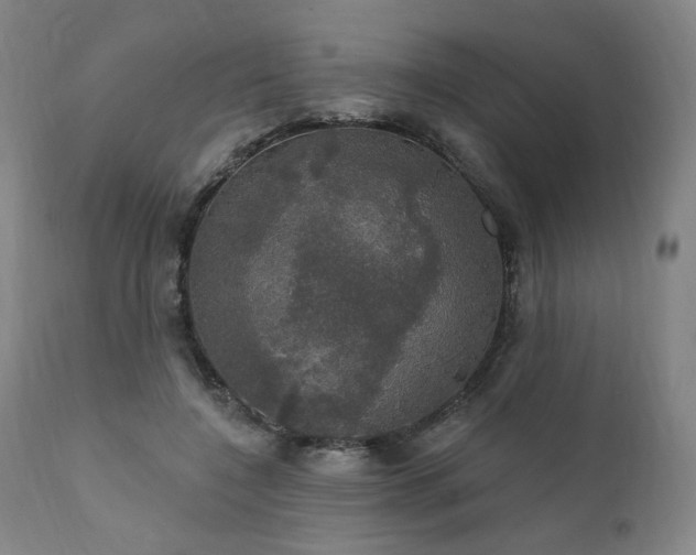 X0000111800548200907231212
