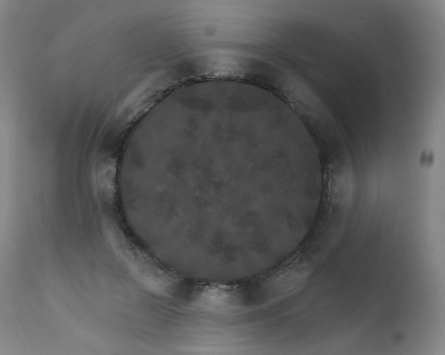 X0000111800550200907231212