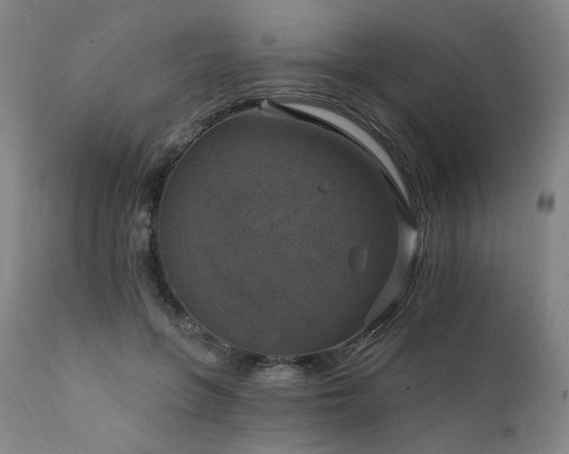 X0000111800551200907231212