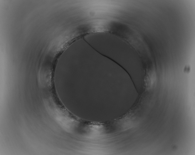 X0000111800552200907231212