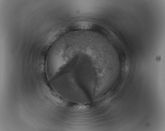 X0000111800553200907231212