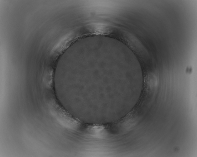 X0000111800554200907231212