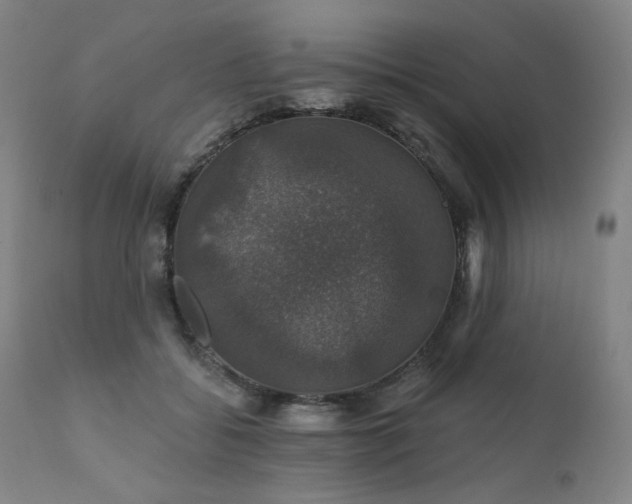 X0000111800556200907231212