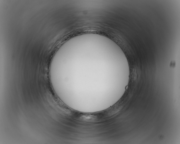 X0000111800557200907231212