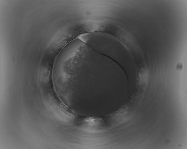 X0000111800558200907231212