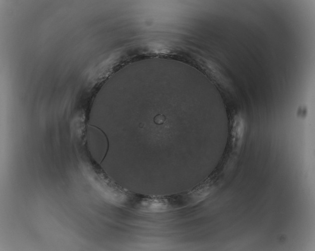 X0000111800559200907231213
