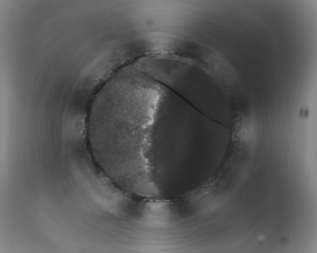 X0000111800560200907231213