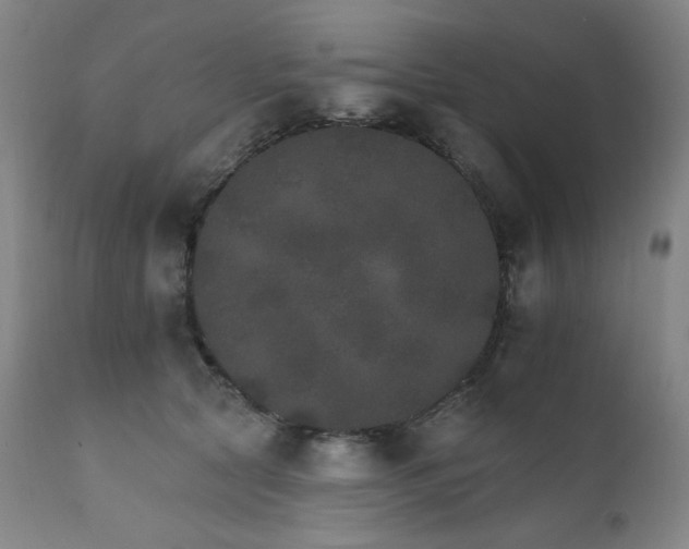 X0000111800561200907231213